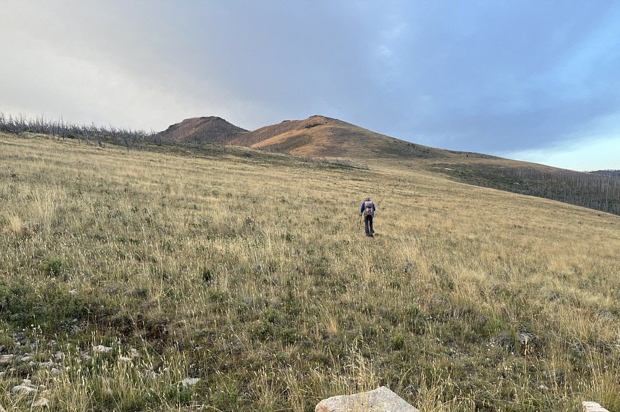 Short cuts are a no-brainer in open terrain like this.