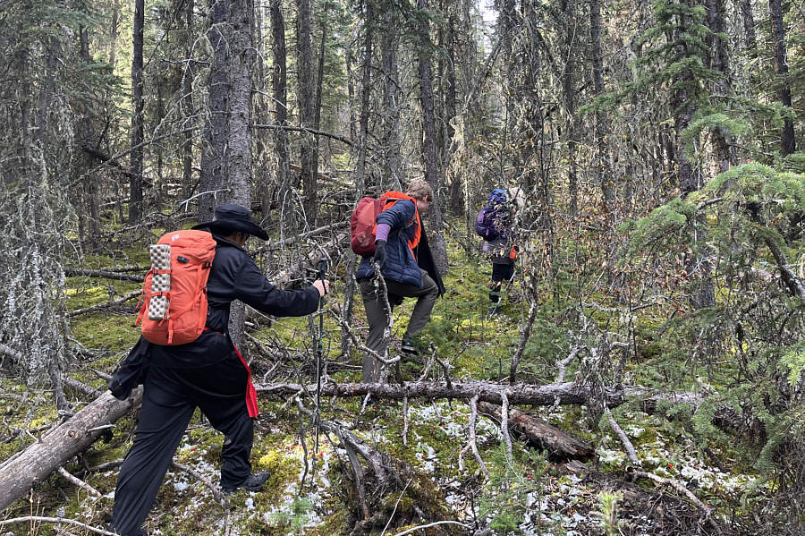 No problemo for these hardcore hikers!