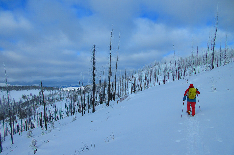 Sigh. I guess we will have to earn the summit of Saddle Mountain the hard way!