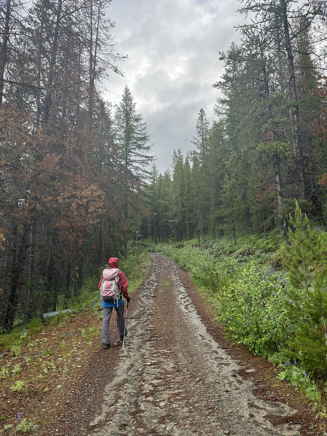 We're here to hike, right?