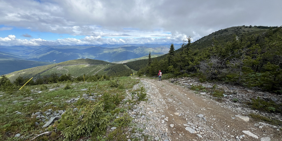 Just more views of dull forested ridges!