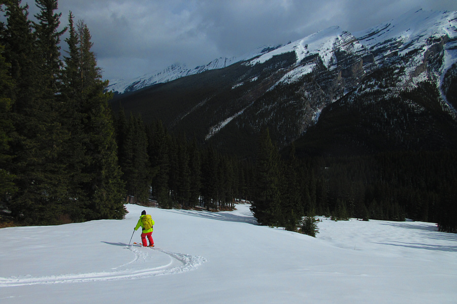 Might have been more fun to go down on a toboggan!