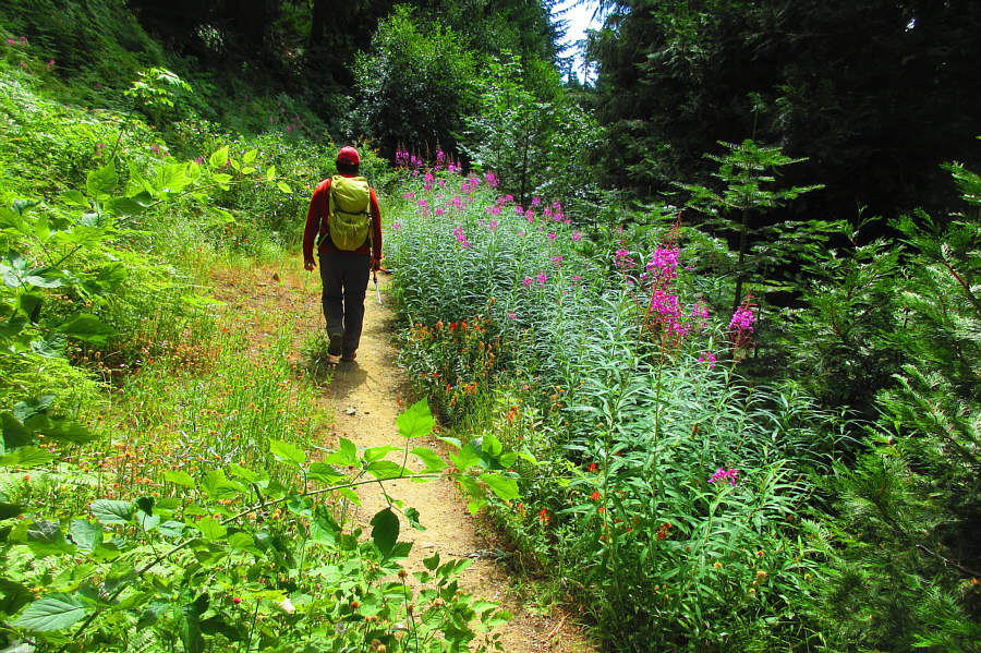 A colourful start to the hike!