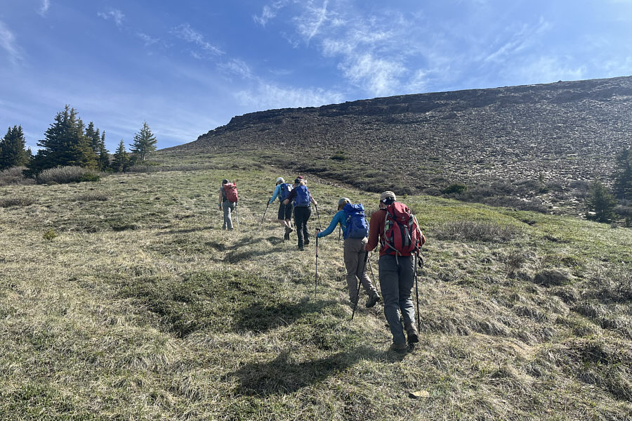 Lotsa sheep trails in the scree...pick your line!