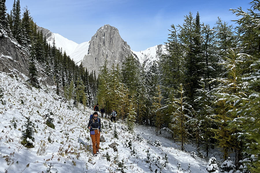 This valley is no longer such a secret place for larch viewing.