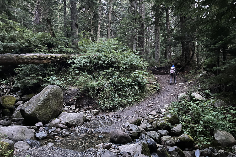 Thank you, USFS, for maintaining such a nice trail!