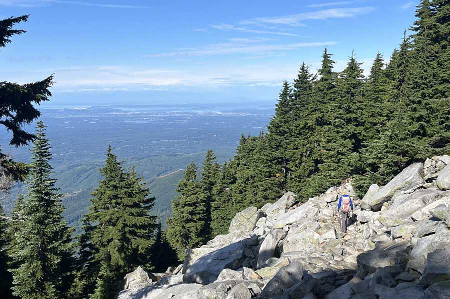 It's too bad they didn't log more trees on top of this mountain.