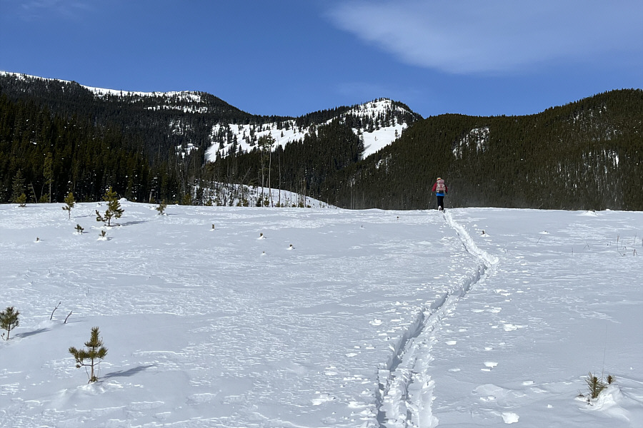 Powderface Northeast Ridge looks good enough to ski again!