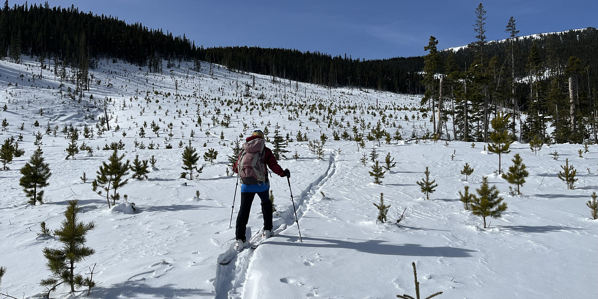 Good for ski touring; not so good for ski turning!