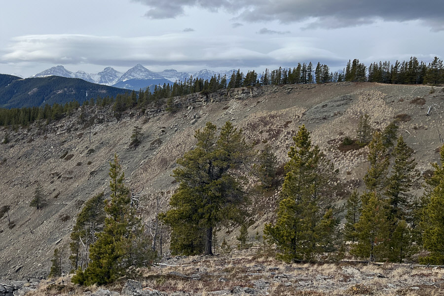 Ironically, unofficially-named Racehorse Peak is at far left on the horizon.