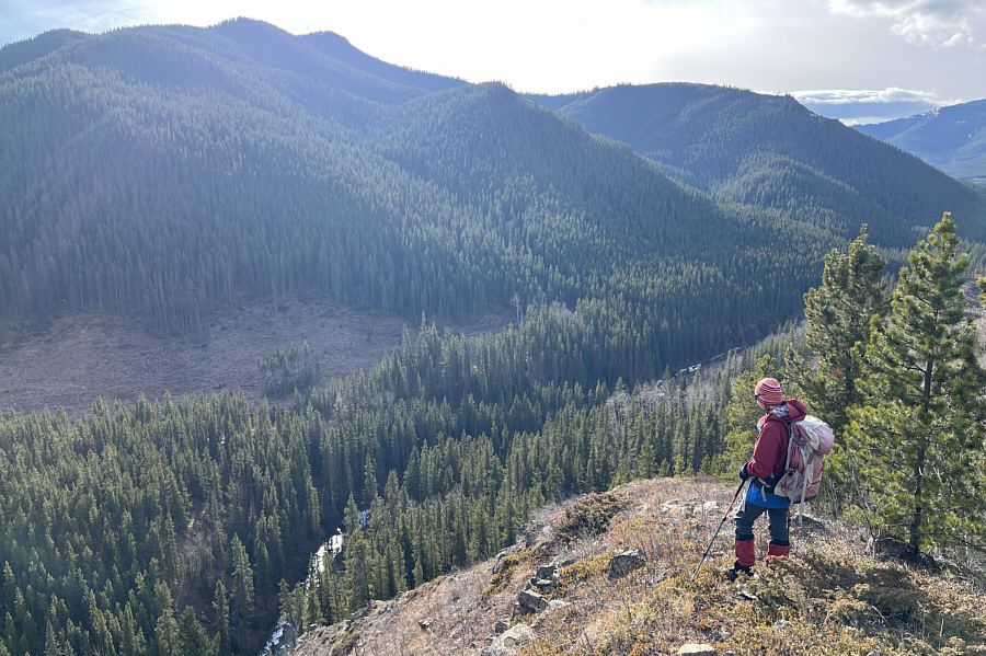 Some light bushwhacking and marshy sections still to come!