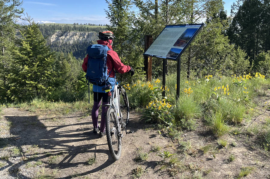 Zosia will read anything along any trail!