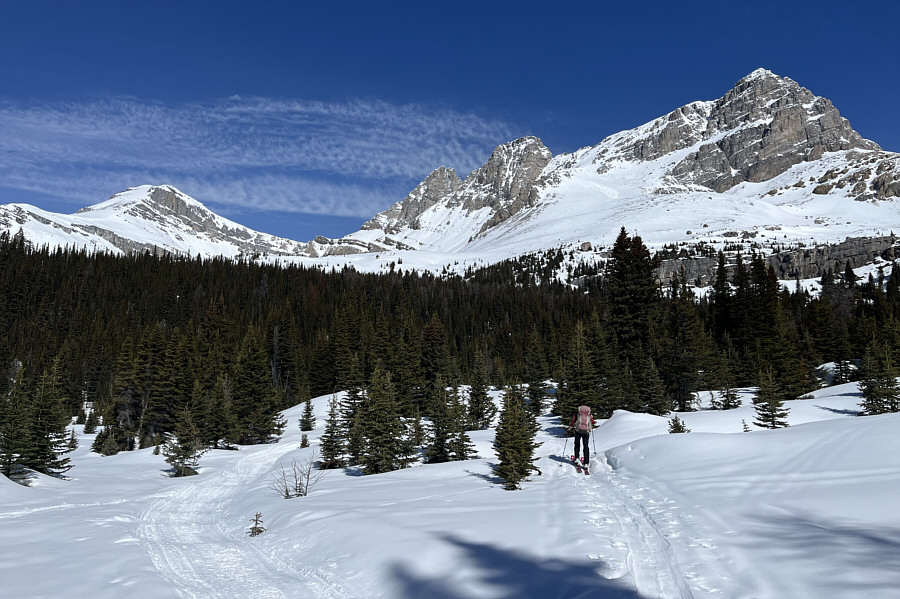 I would like to try skiing Ptarmigan Peak someday...