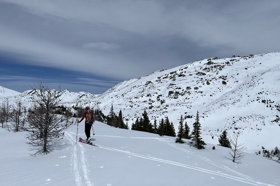 Heather Ridge doesn't look too enticing to ski on this day!