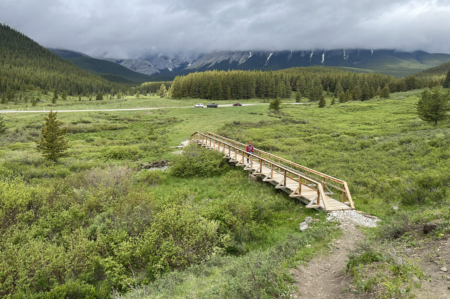 Pretty elaborate bridge for a small marshy creek!