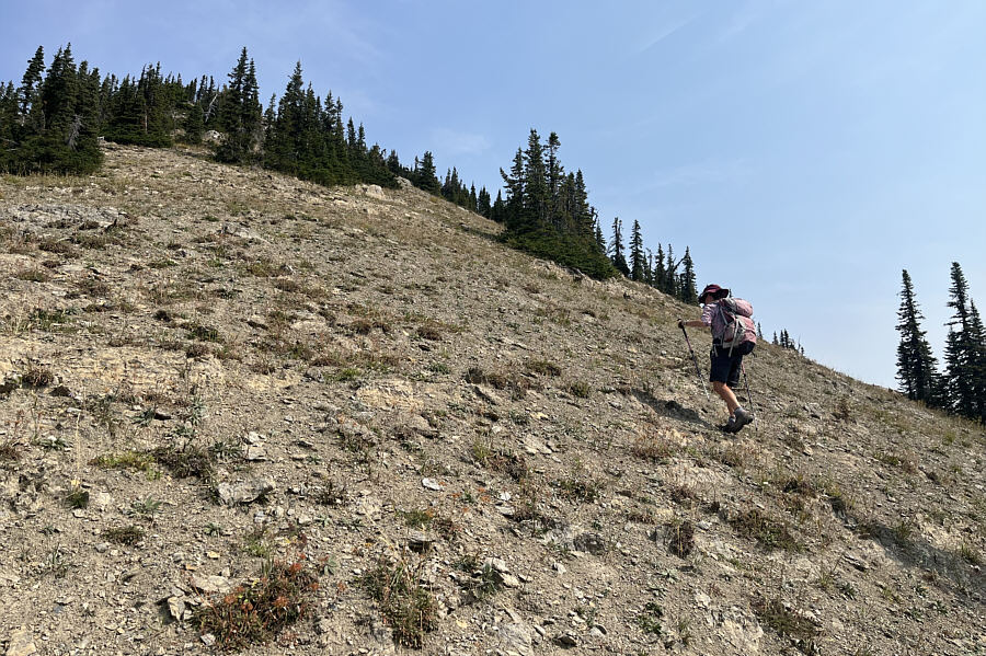 And there's even a little bushwhacking still just before the summit in case you thought all your troubles were over!