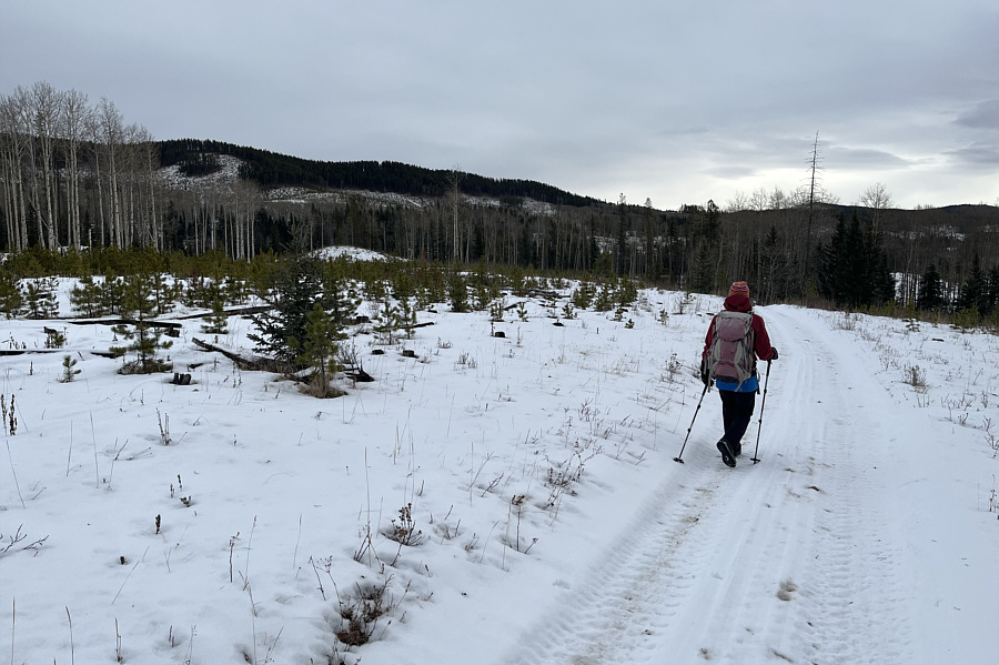 Looks like every other forested hump in this area!