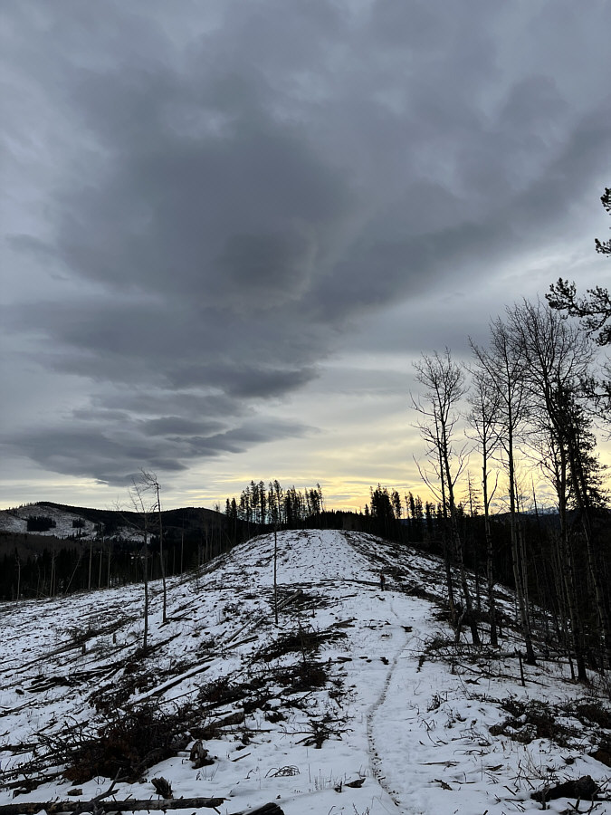 Not your usual-looking Chinook arch!