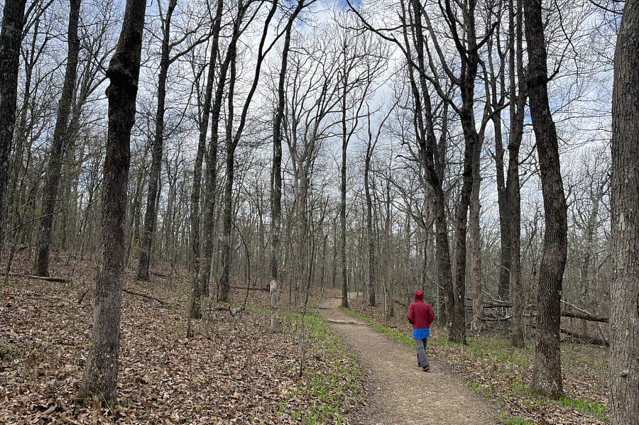 An easy stroll in the park.