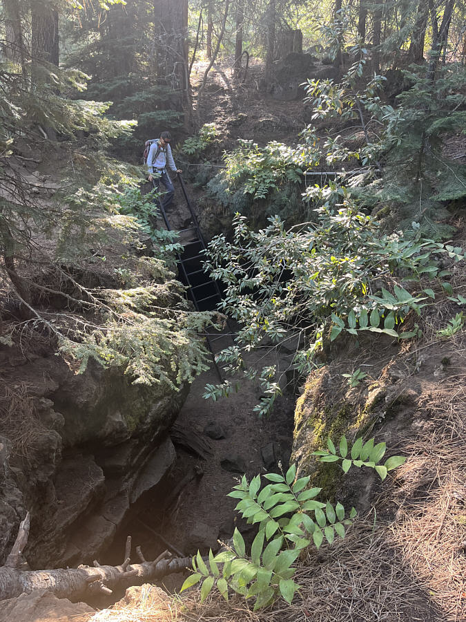 Boy, imagine stumbling into this hole while walking through the woods!