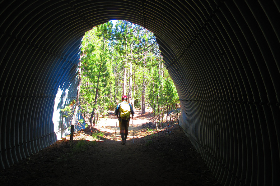 A good spot for Steve Wallis--guerilla camper extraordinaire--to hunker down!