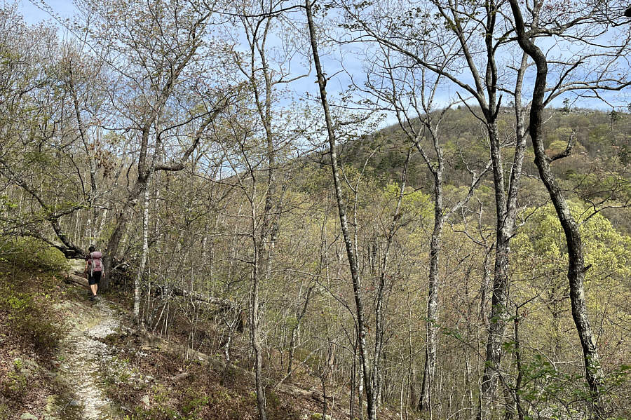 A very pleasant walk in the woods.