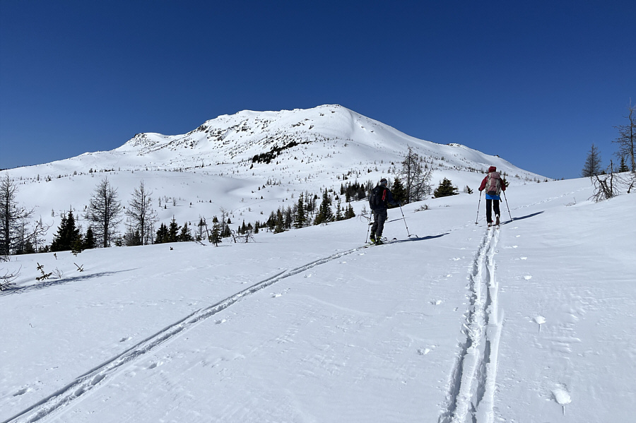 Looks magnificent as usual on another bluebird day!