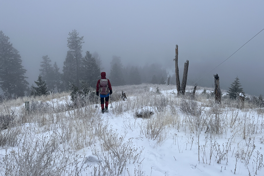 With more snow, this could be a great backcountry ski tour!