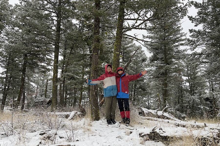 Why are so many officially-named summits covered with trees?