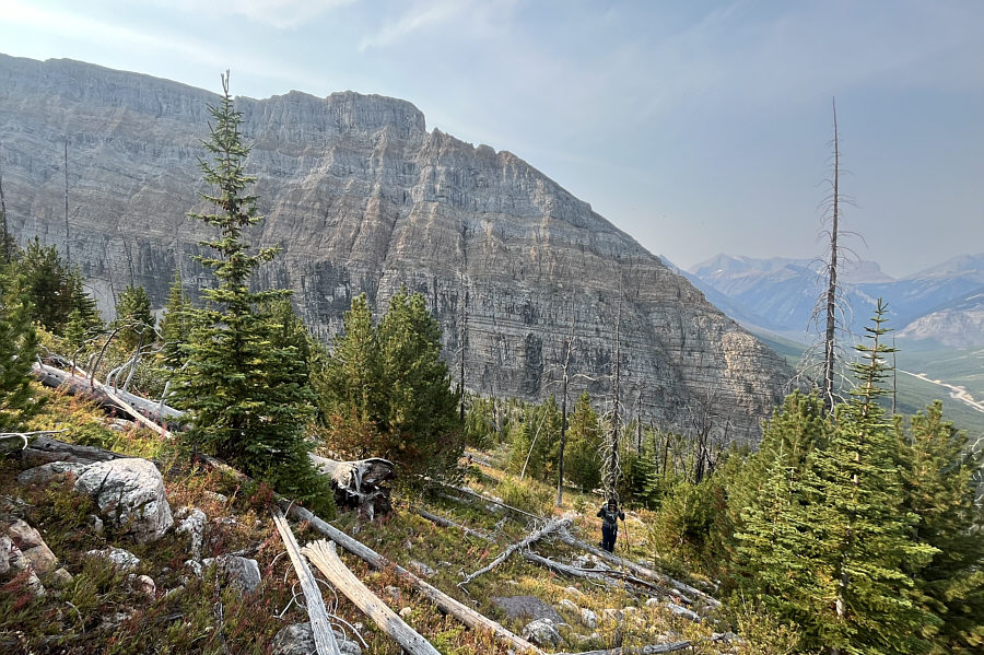 Some of this terrain might be nice for a winter ski tour...