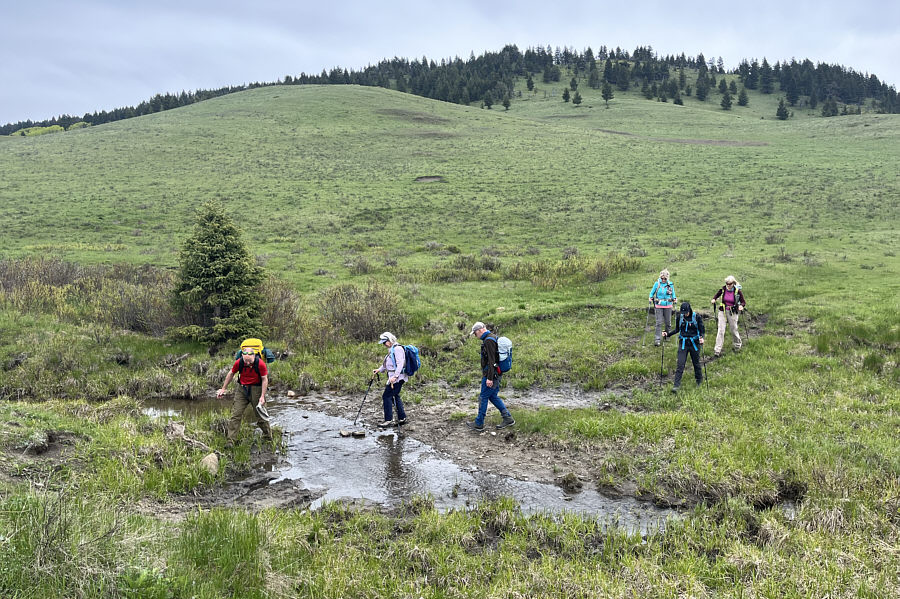 It's probably best NOT to drink water from this creek if you're thirsty!