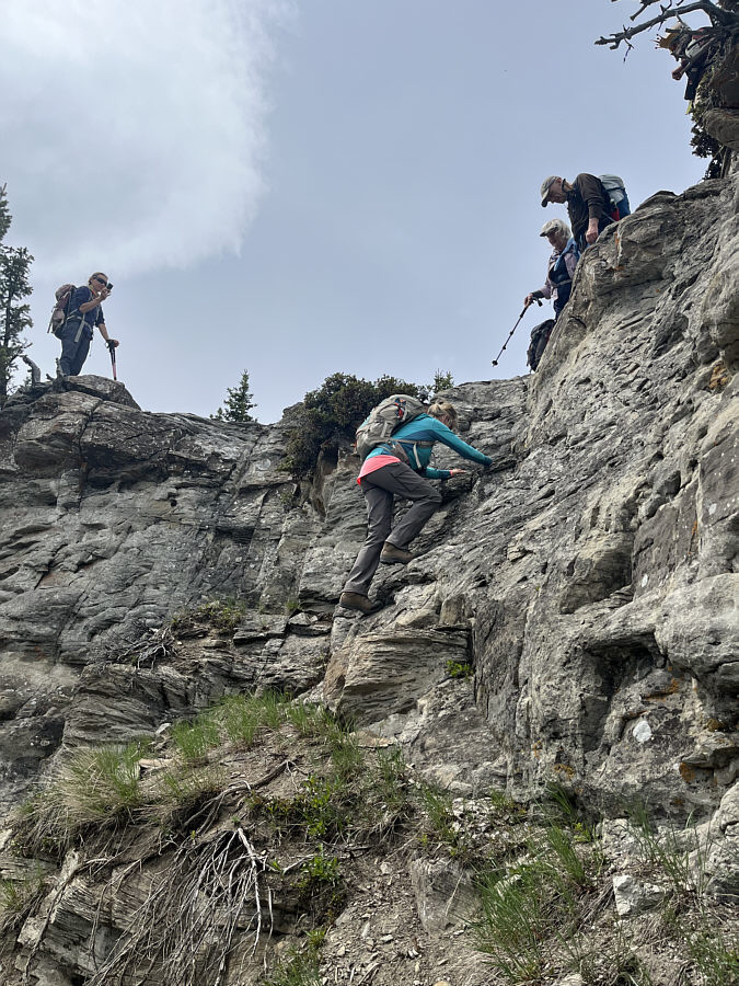 Alex Honnold, eat your heart out!