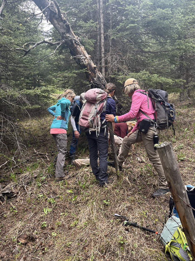 Why is there a barbed-wire fence inside a provincial park? I'm bringing wire cutters next time...