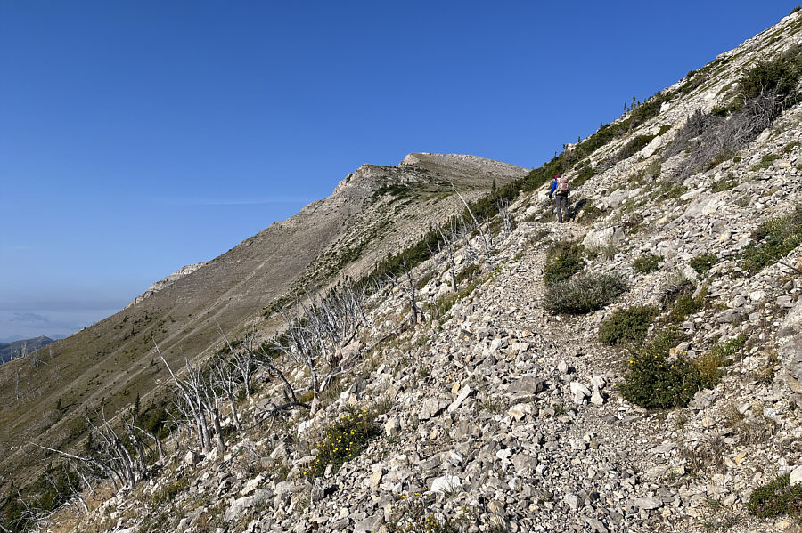 Very enjoyable hiking here especially in the warm sun!