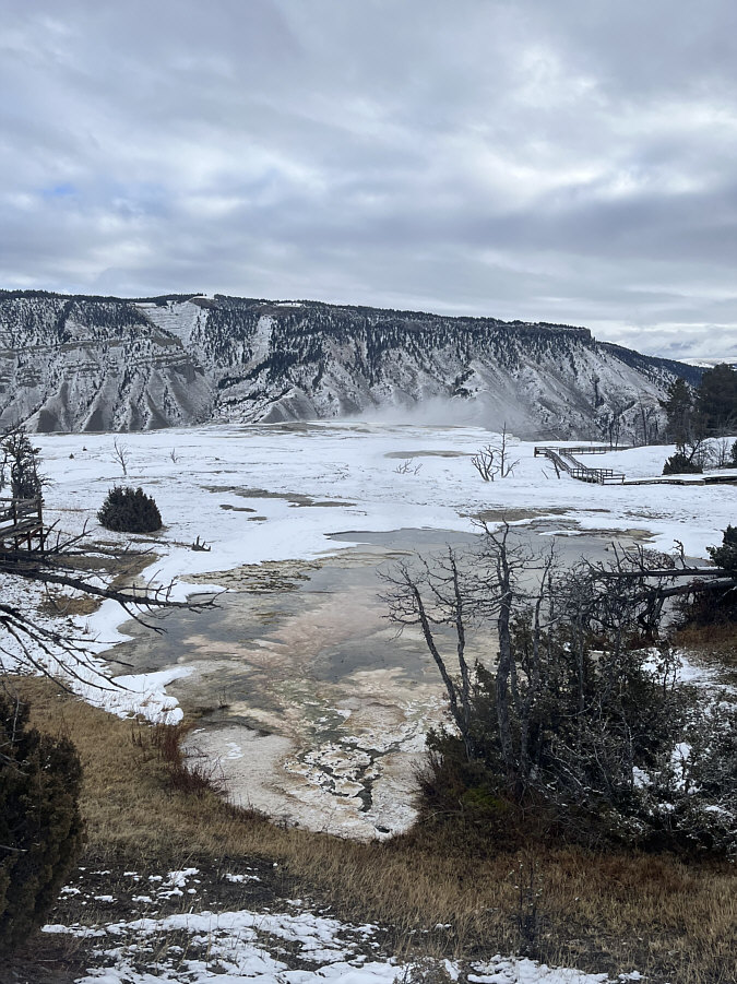 Hard to see in this photo, but from here, we could see blue water bubbling from Canary Spring.