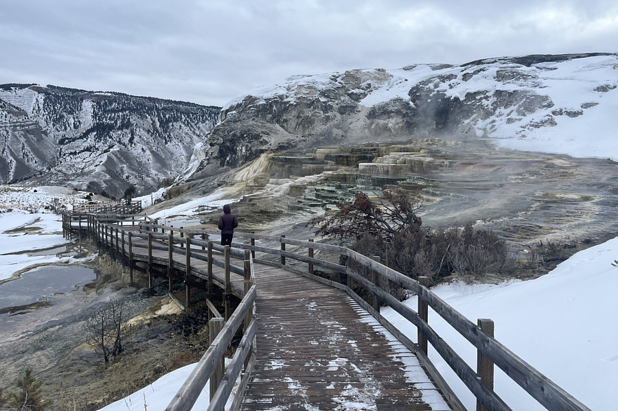 Probably the best feature to see at Mammoth Hot Springs.