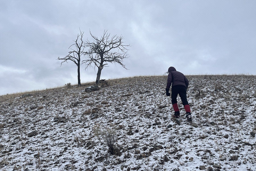 With more snow, this might be a good ski ascent!