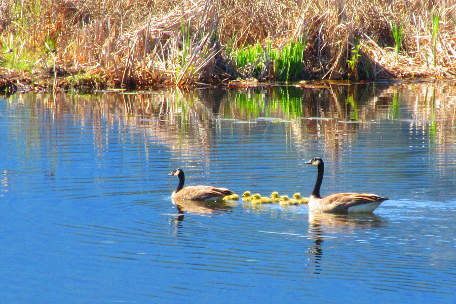 Cute family!