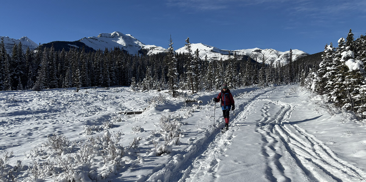 Maybe we'll climb Garriochmill Peak next year...