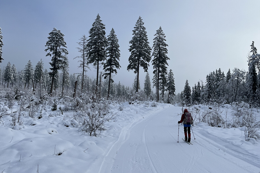 Thank you, North Shore Nordic Club!