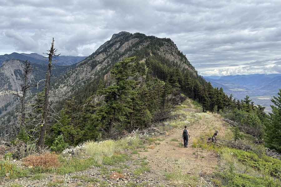 The lookout building is farther away than it looks!