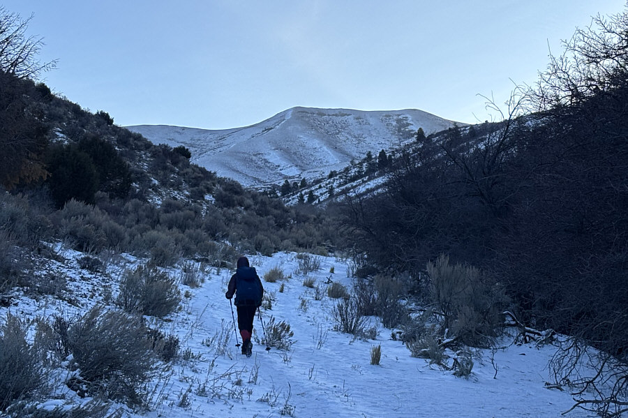 Thankfully, it doesn't look too snowy.