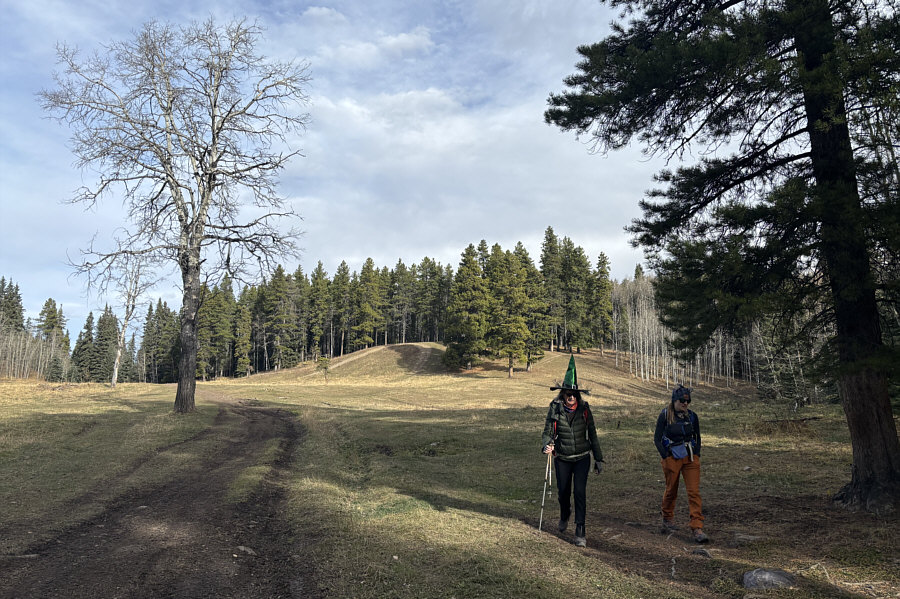 I wonder if any OHVs have ever crashed into that lone tree...