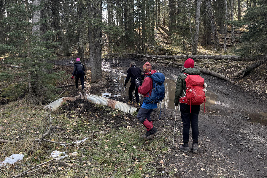 Definitely easier to hike here in winter when everything is frozen!