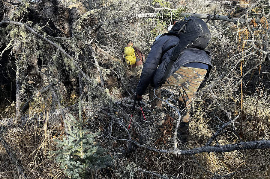 Geez, how the heck did we end up here??