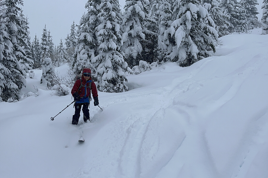 Looks like we're not the only ones that ski this ridge!