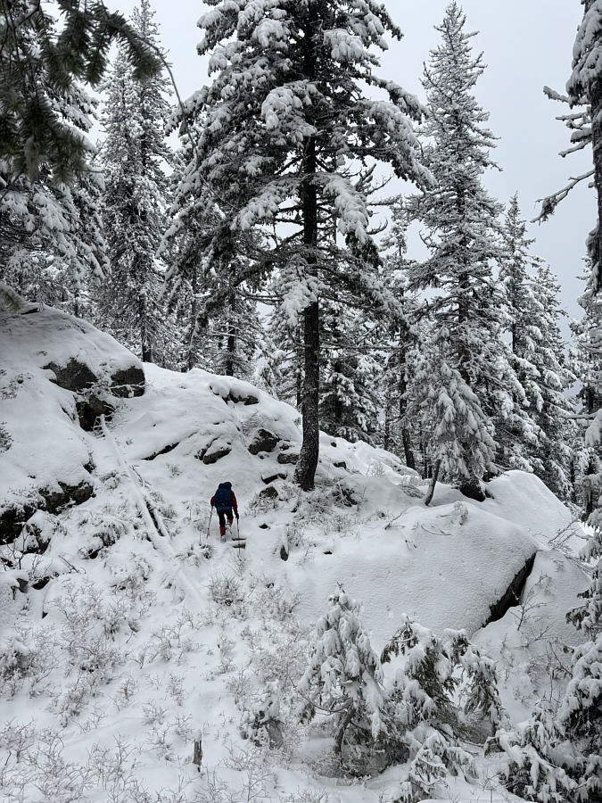 Surprisingly challenging terrain!