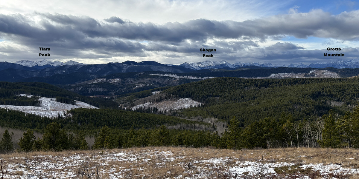 Lots of cut blocks here which might be okay for ski touring...if there is enough snow!