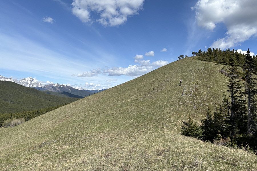 Nice ski slope!