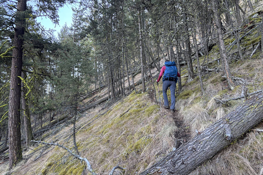 Still have to hop over a few awkward logs!